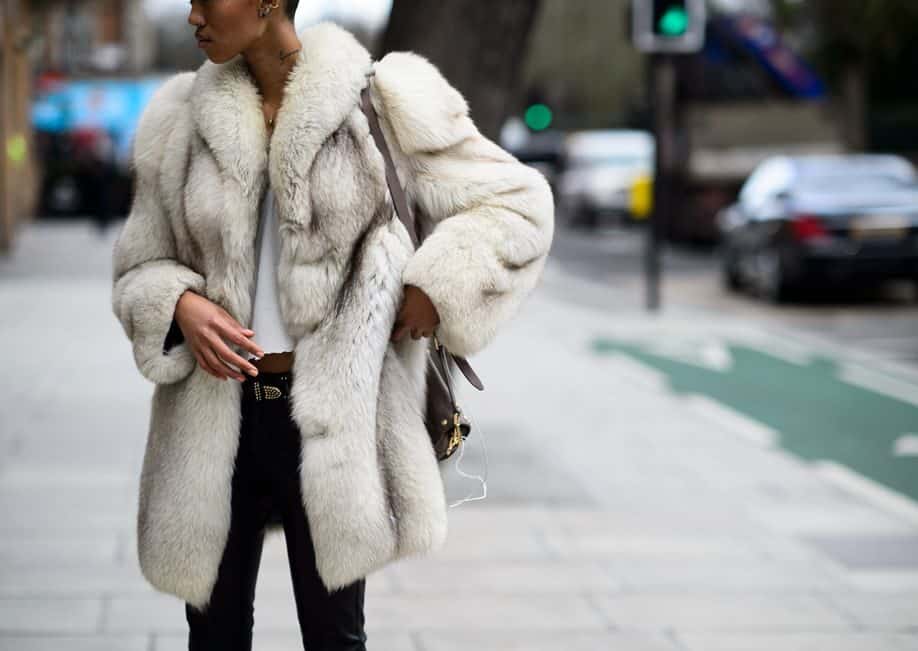 Fashion Trends of the Season 2024 fur